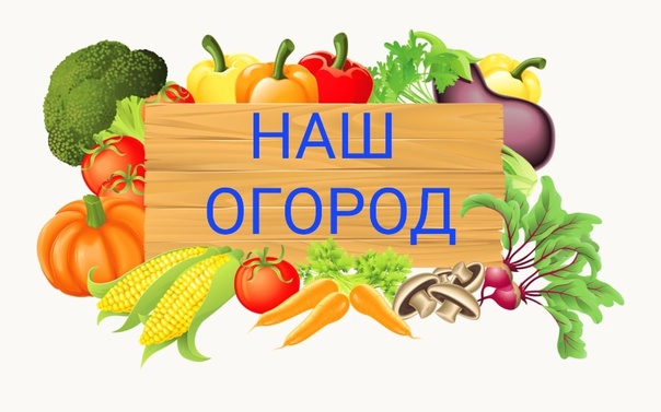 Наш огород.